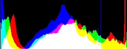 Histogram
