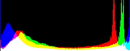 Histogram