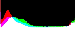 Histogram