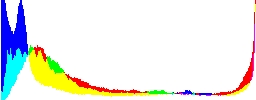 Histogram