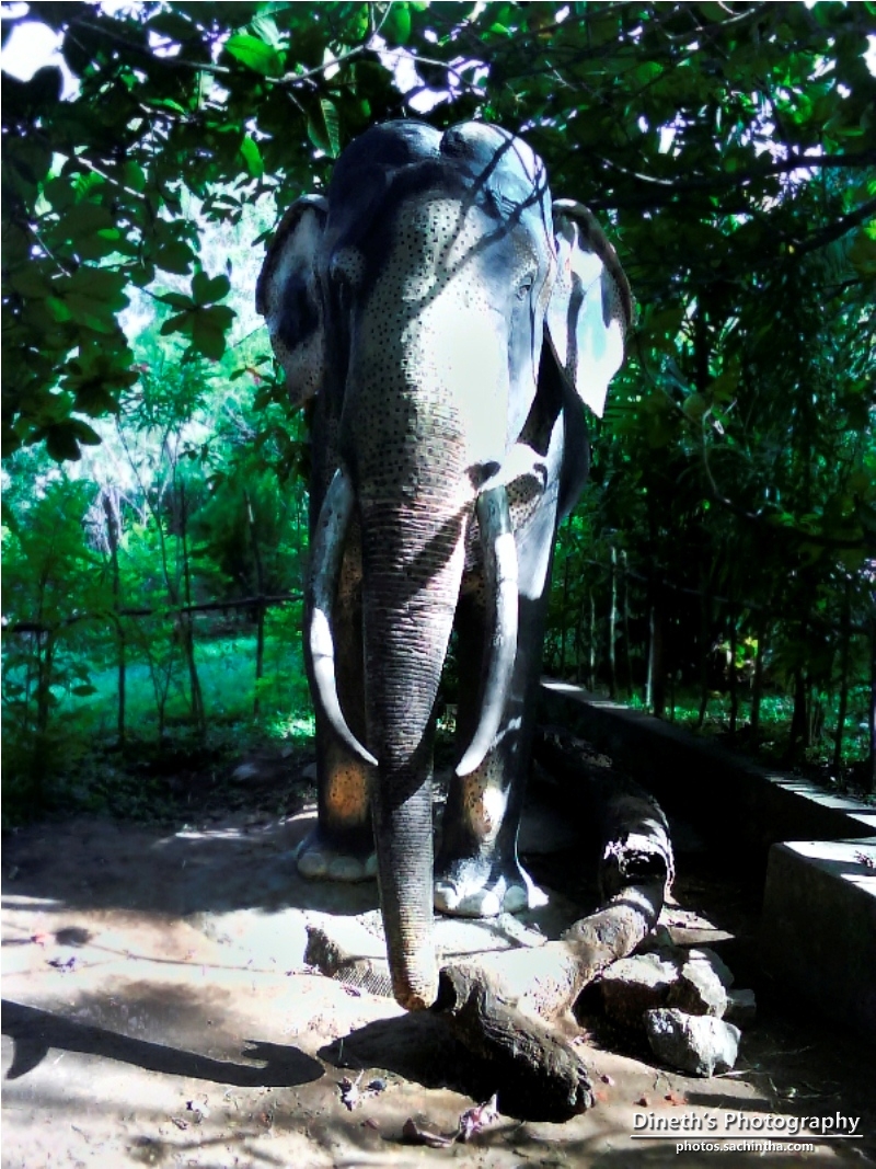 Elephant Statue