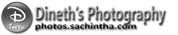 Dineth's Photography